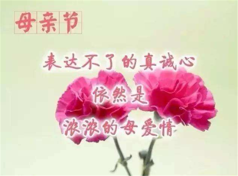 母親節(jié)——轉(zhuǎn)載網(wǎng)絡(luò)圖片